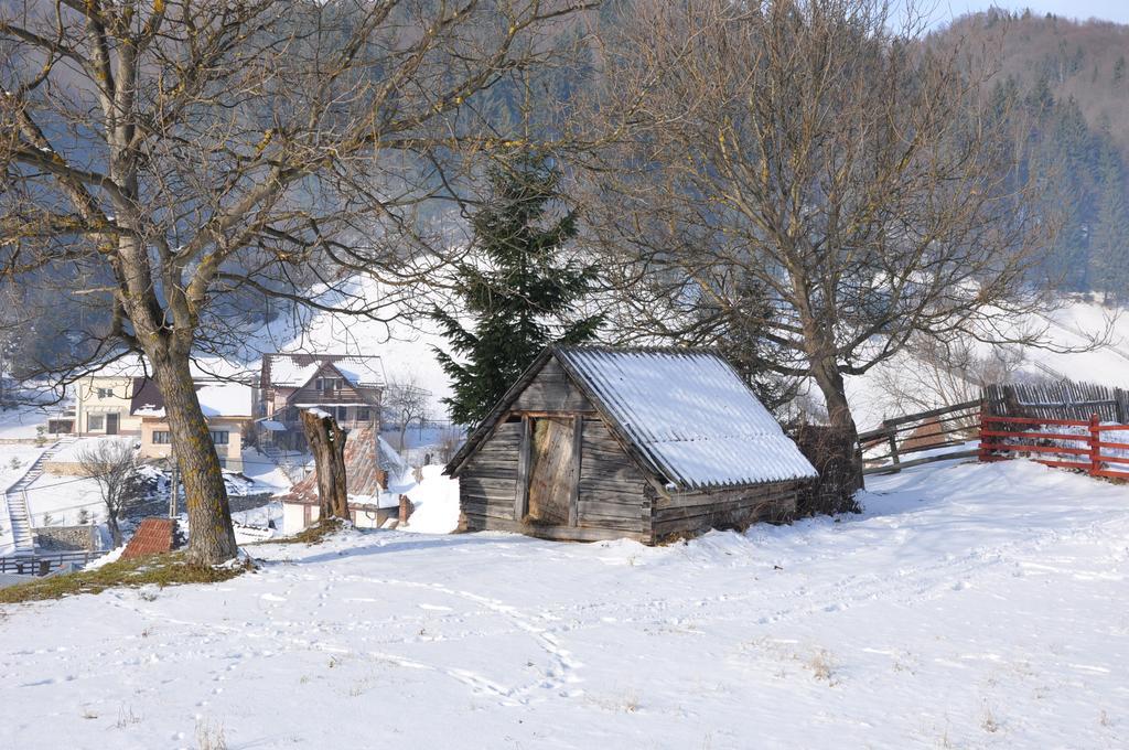 Pensiunea La Ionica Dîmbovicioara Esterno foto