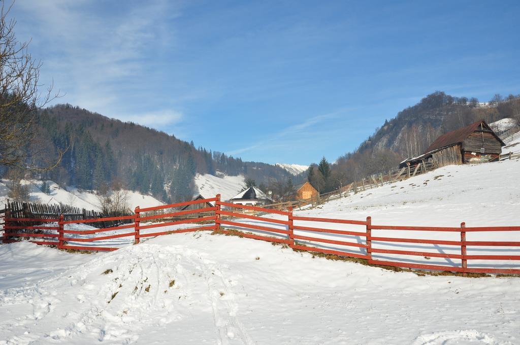 Pensiunea La Ionica Dîmbovicioara Esterno foto