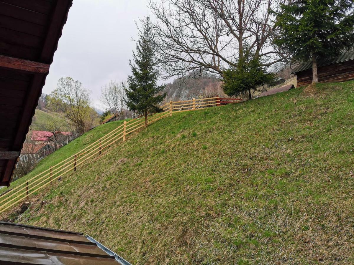 Pensiunea La Ionica Dîmbovicioara Esterno foto